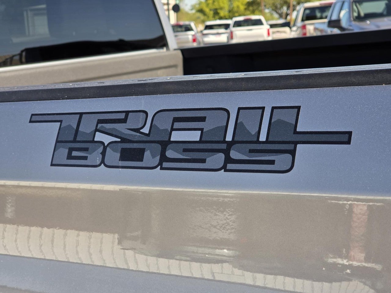 2024 Chevrolet Silverado 1500 Custom Trail Boss